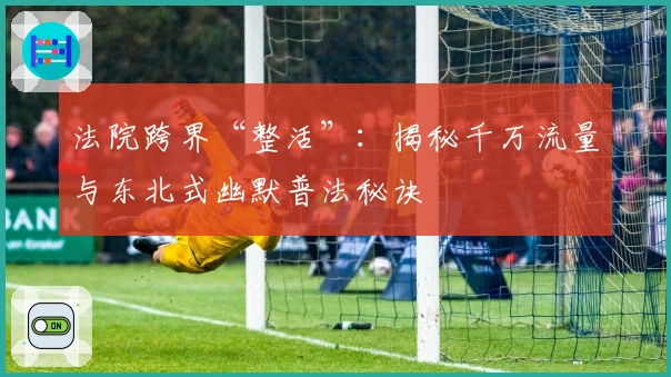 法院跨界“整活”:揭秘千万流量与东北式幽默普法秘诀